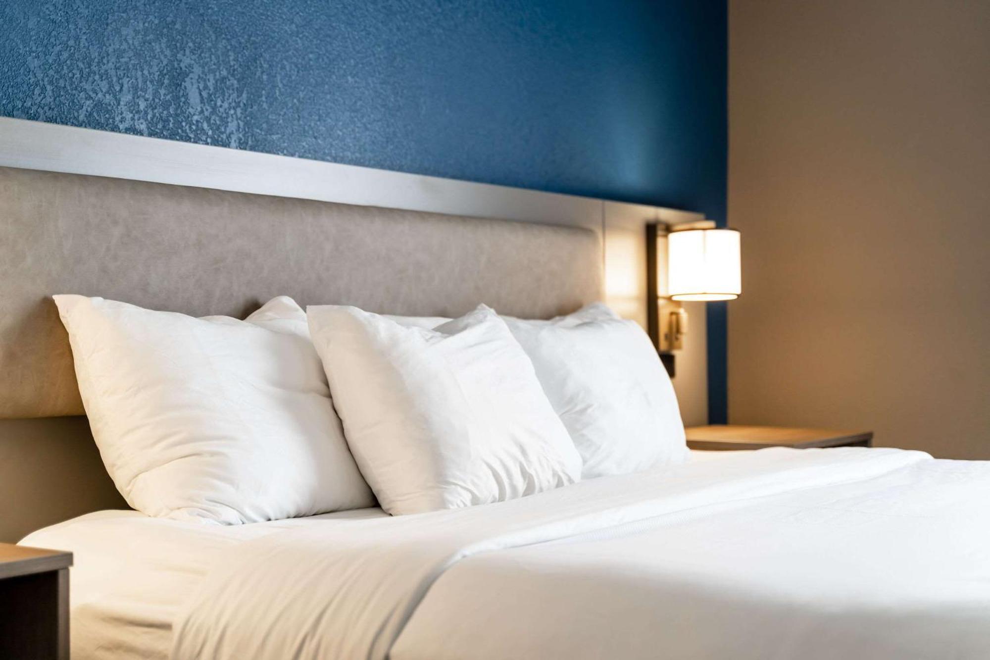 Comfort Suites Columbia Northeast - Fort Jackson Buitenkant foto